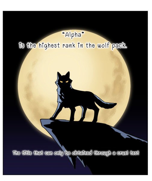 The Wolf That Picked Something Up Chapter 4 1